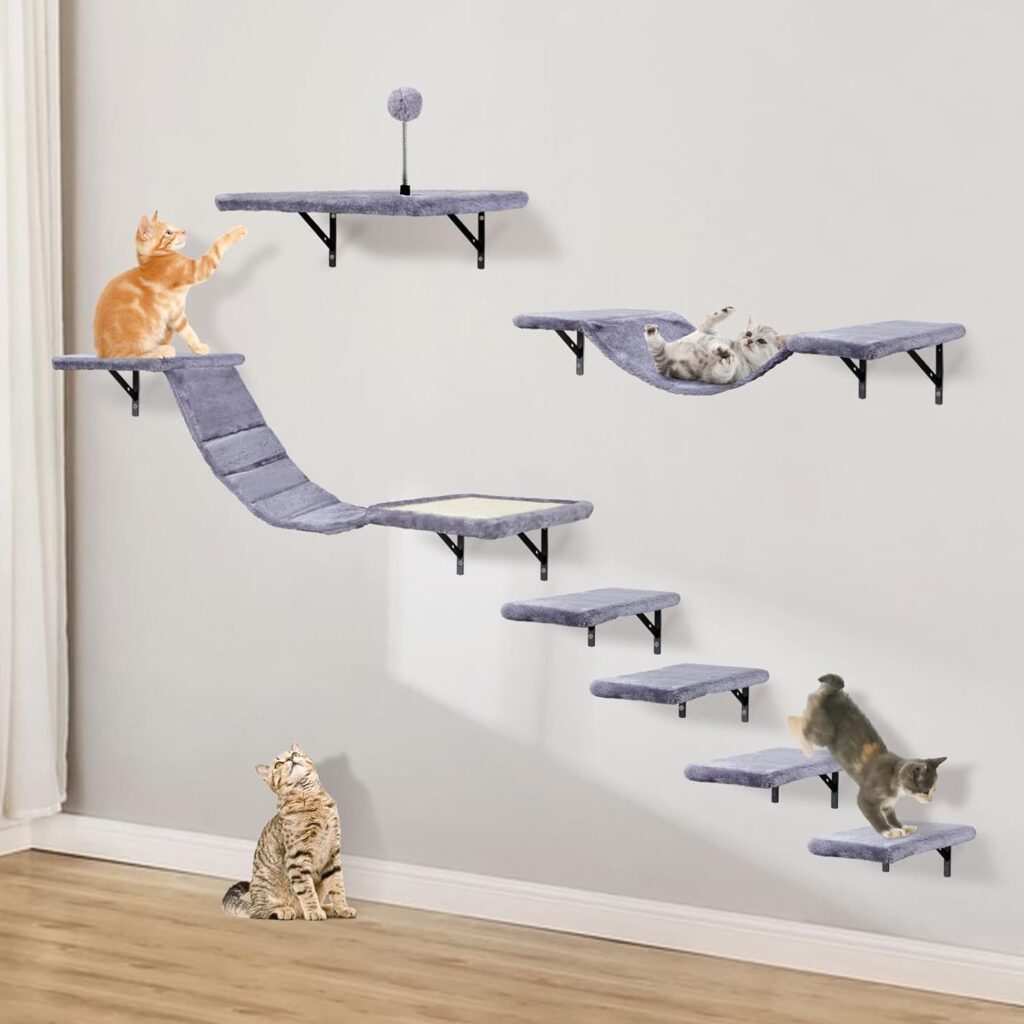 circuito de pared para gatos